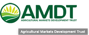AMDT logo